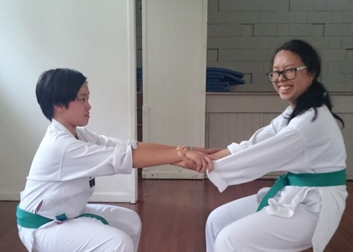 Two Green Belt students training.